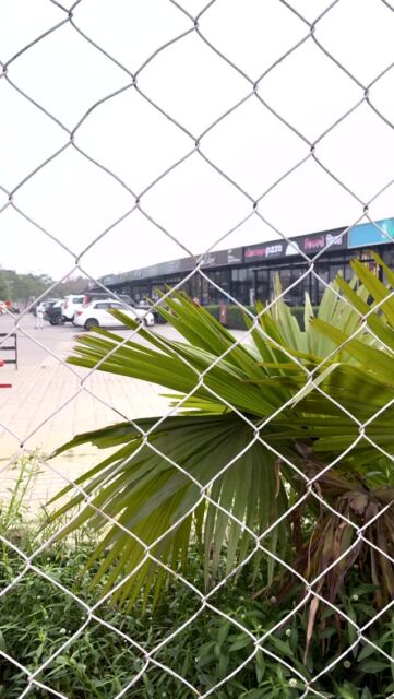 Life lately:
Red Storm and repeat🔁

#RedStormIndia #RepeatMode